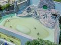 img-20231020-wa0009.jpg